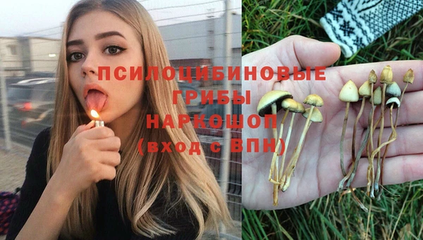 mdpv Алексин