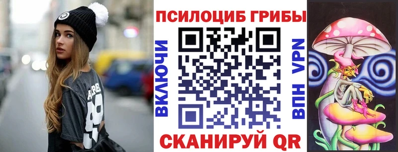 Галлюциногенные грибы мицелий  хочу   Рыбное 